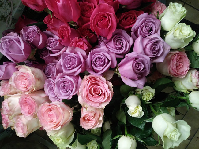 Roses for Graduation Ceremonies