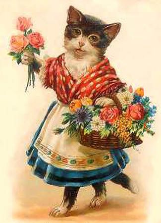 Cat Friendly Bouquet