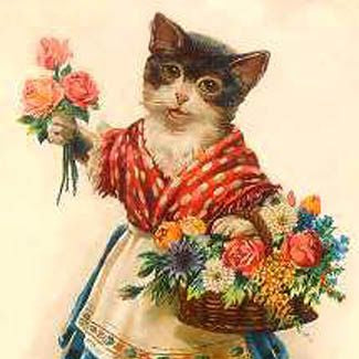 Cat Friendly Bouquet