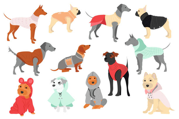 Bring Your Small Dog and Make them a Coat Nov. 1 @1030