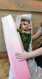 Antique Carnation Gift Box
