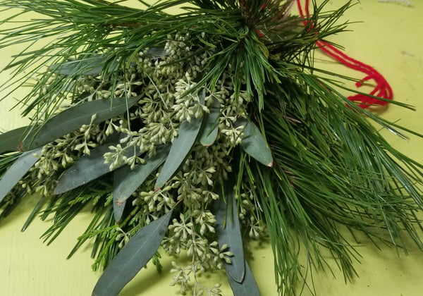 Mistletoe/ Kissing Boughs