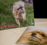 Shop Dog Greeting Cards