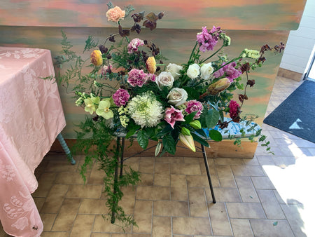 Orchid Plant, Florist's Best Variety