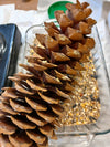 Pinecone Bird Feeder