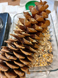 Pinecone Bird Feeder