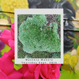 Mystery Makery Sept. 26th