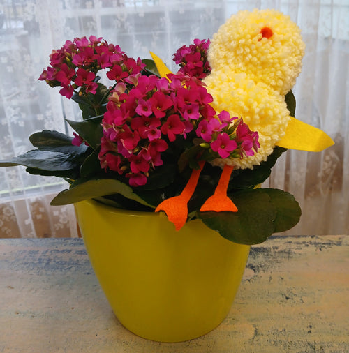 Florist's Best Flowering Plant