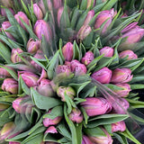 10 Stem Tulip Bouquet