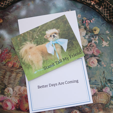 Stay Cool Card