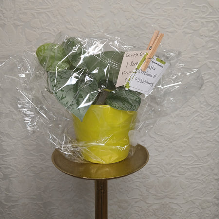 Witchy Bouquet