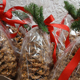 Pinecone Bird Feeder