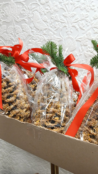 Pinecone Bird Feeder