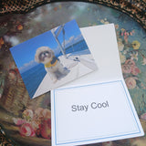 Stay Cool Card
