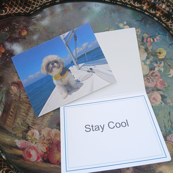 Stay Cool Card