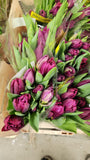 10 Stem Tulip Bouquet