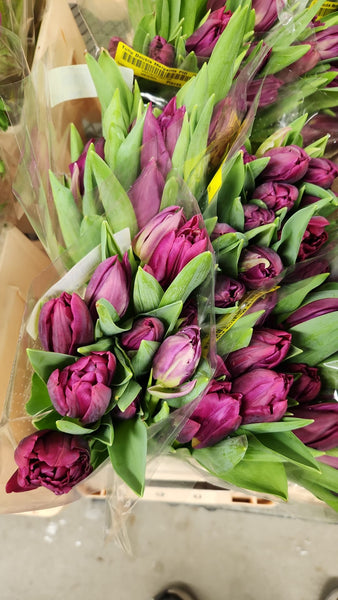 10 Stem Tulip Bouquet