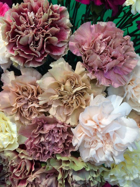 Warm Colour Palette Florist's Best Arrangement